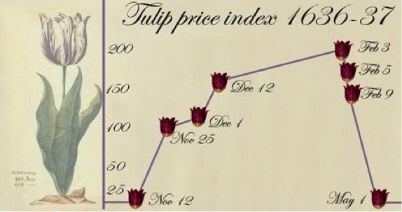 tulipani1