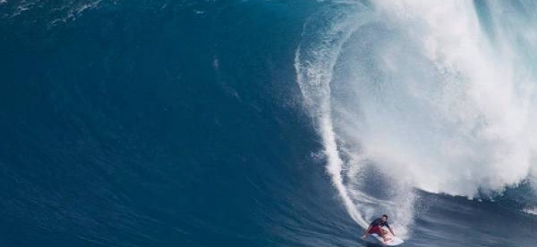 Cavalcare l’ONDA(ta), senza farsi travolgere.