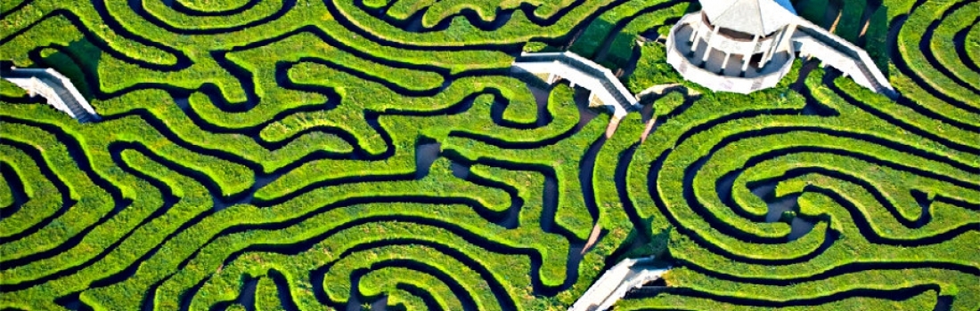 Pianificazione finanziaria: le 4 fasi da non sottovalutare