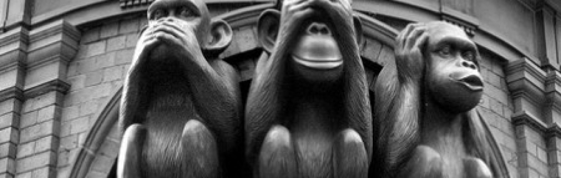 E se facessimo gestire il nostro denaro a una scimmia che lancia una moneta?